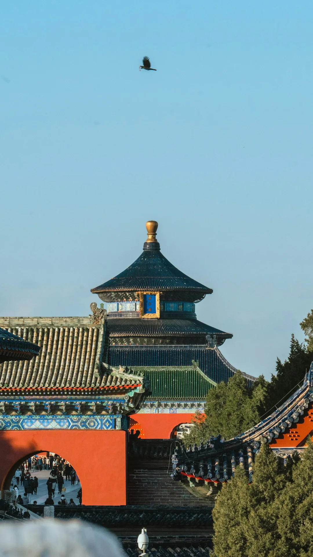 The lattice structure of Beijing’s National Stadium, known as the Bird’s Nest