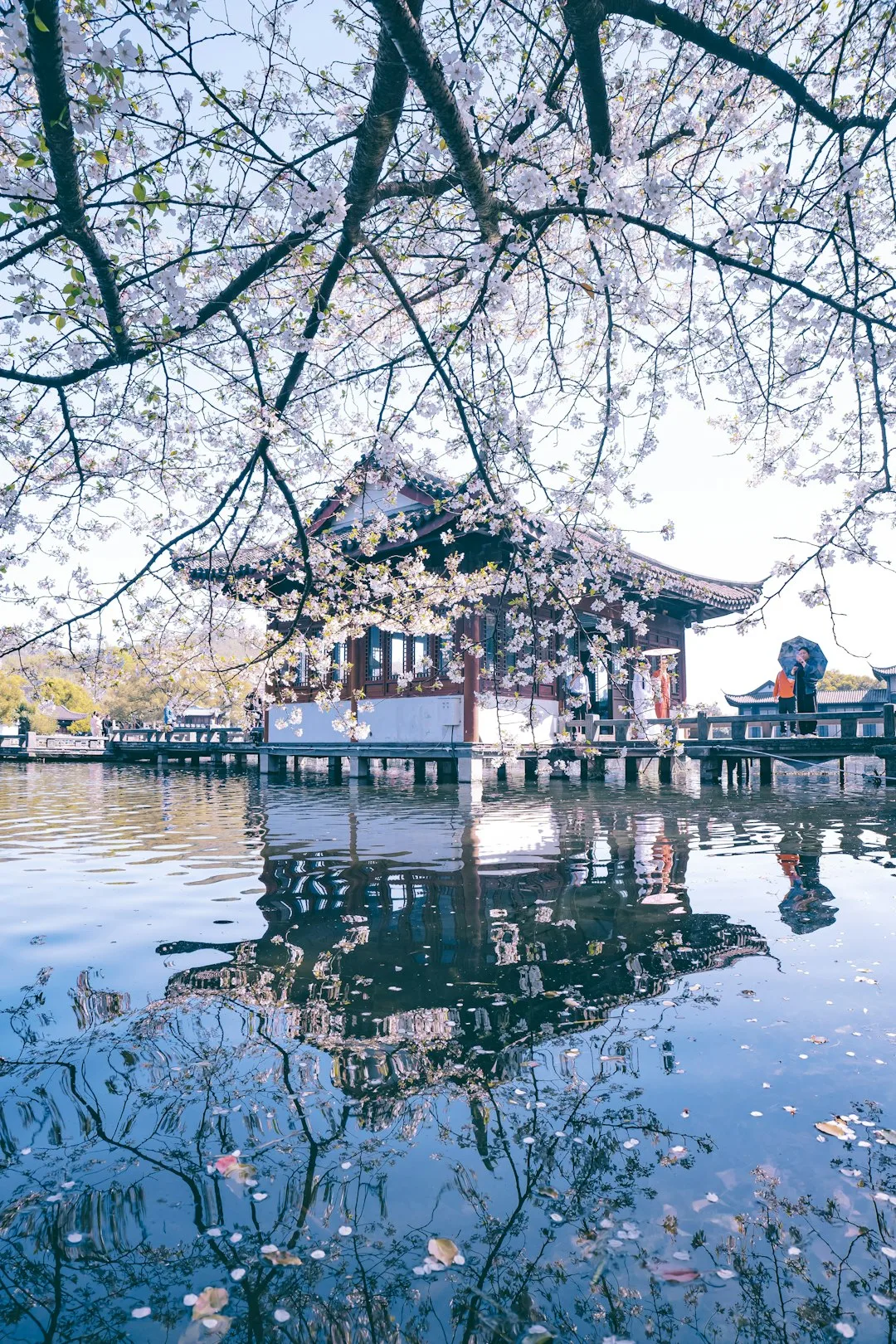 Tree-lined causeway and reflective water at West Lake in Hangzhou