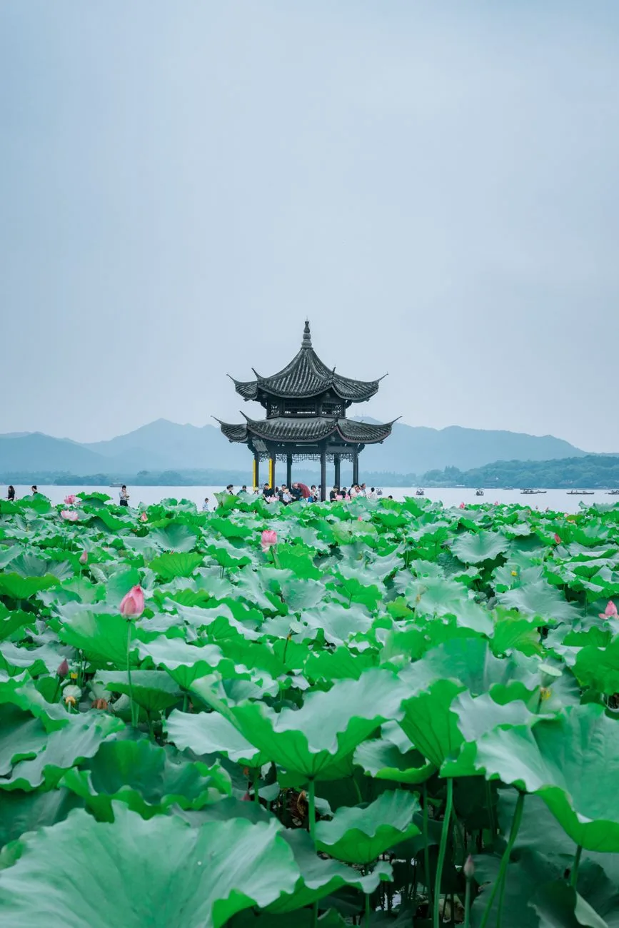 Traditional pavilion surrounded by water and trees at West Lake