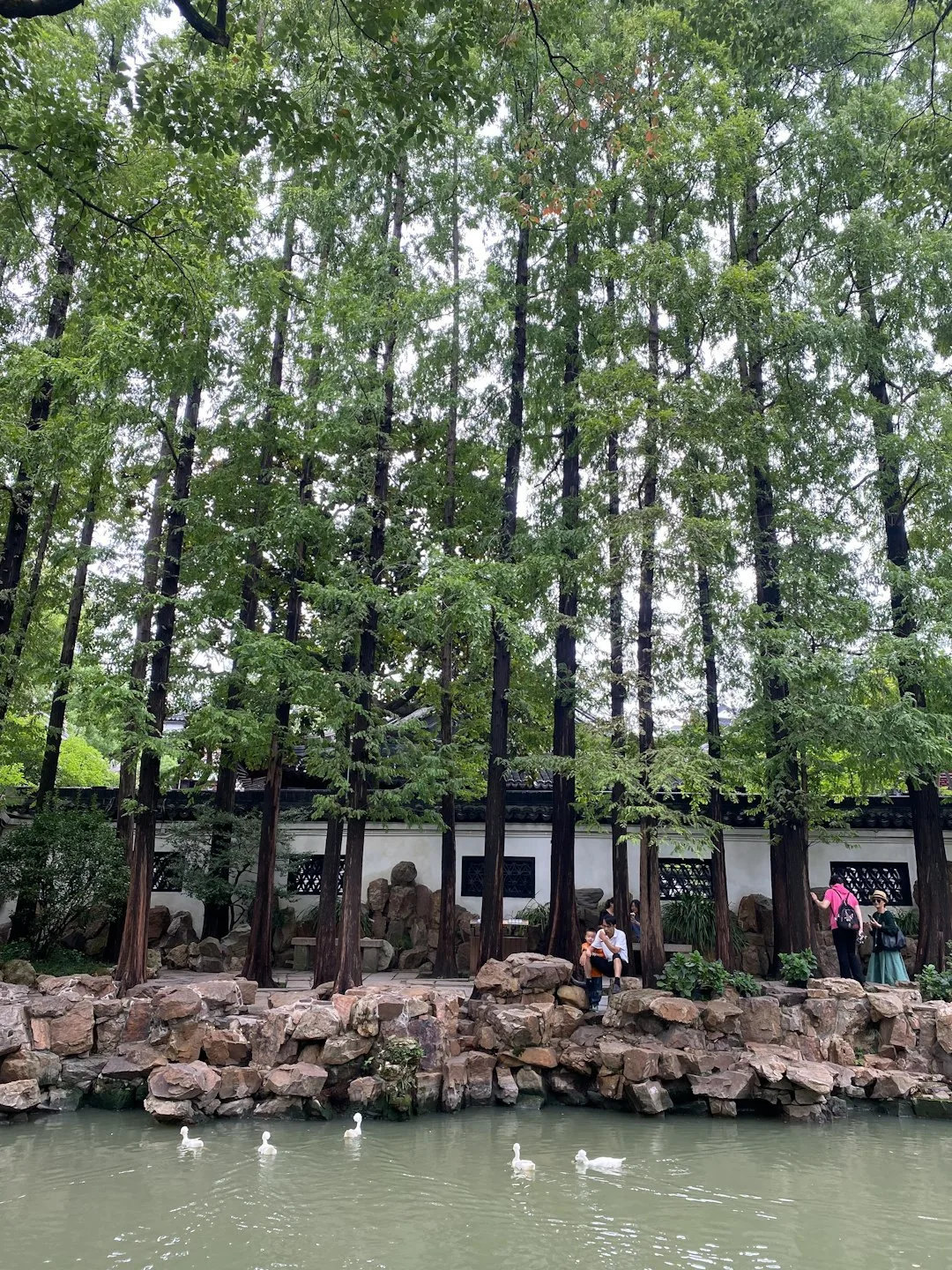 Classical pavilion, pond and rockery inside Yu Garden in Shanghai