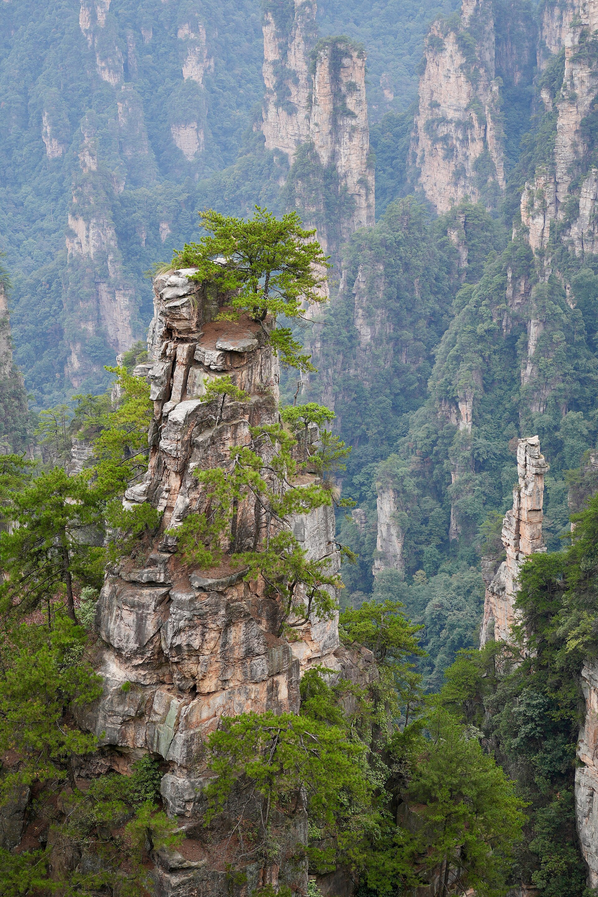The Avatar-like sandstone spires of Zhangjiajie