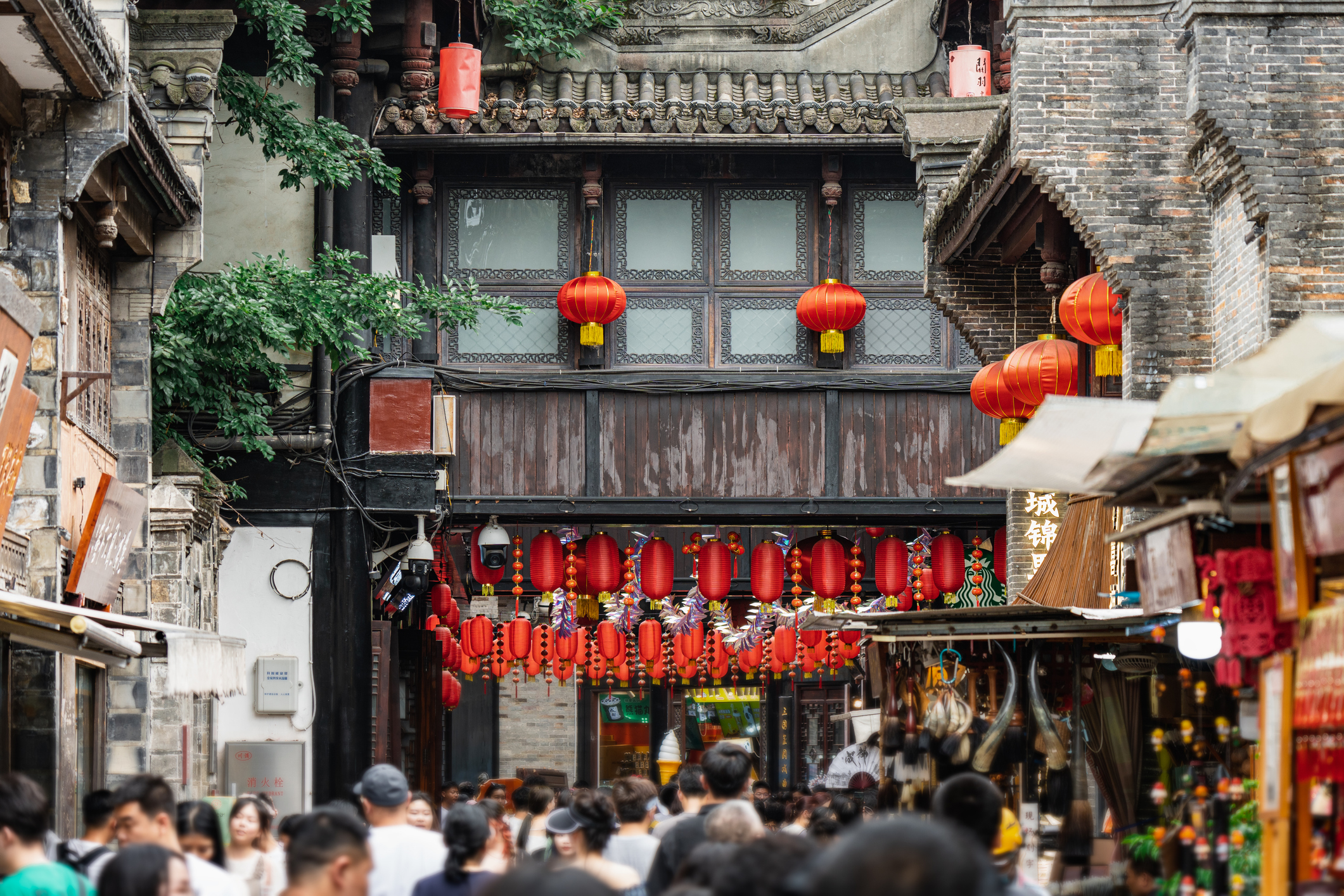 People's Park in Chengdu — where locals gather at teahouses, and parents display matchmaking notices for their children on weekends